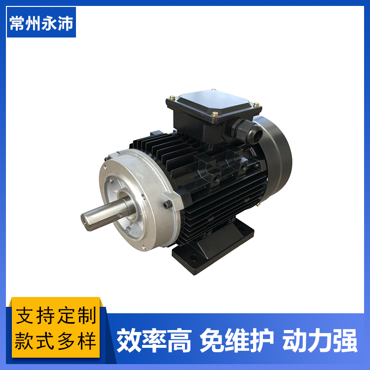 有軌無軌電動(dòng)平車直流電機(jī) 無刷控制器 計(jì)量泵電機(jī)
