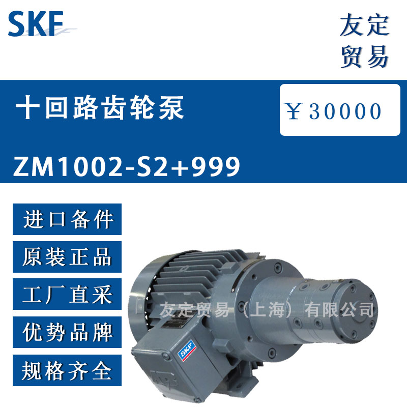 瑞典SKF  ZM1002-S2+999 十回路齒輪泵
