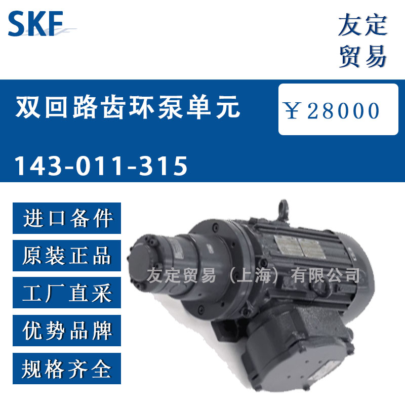 瑞典SKF  143-011-315 雙回路齒環泵單元